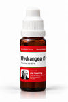 Hydrangea Arborescens Mother Tincture Q